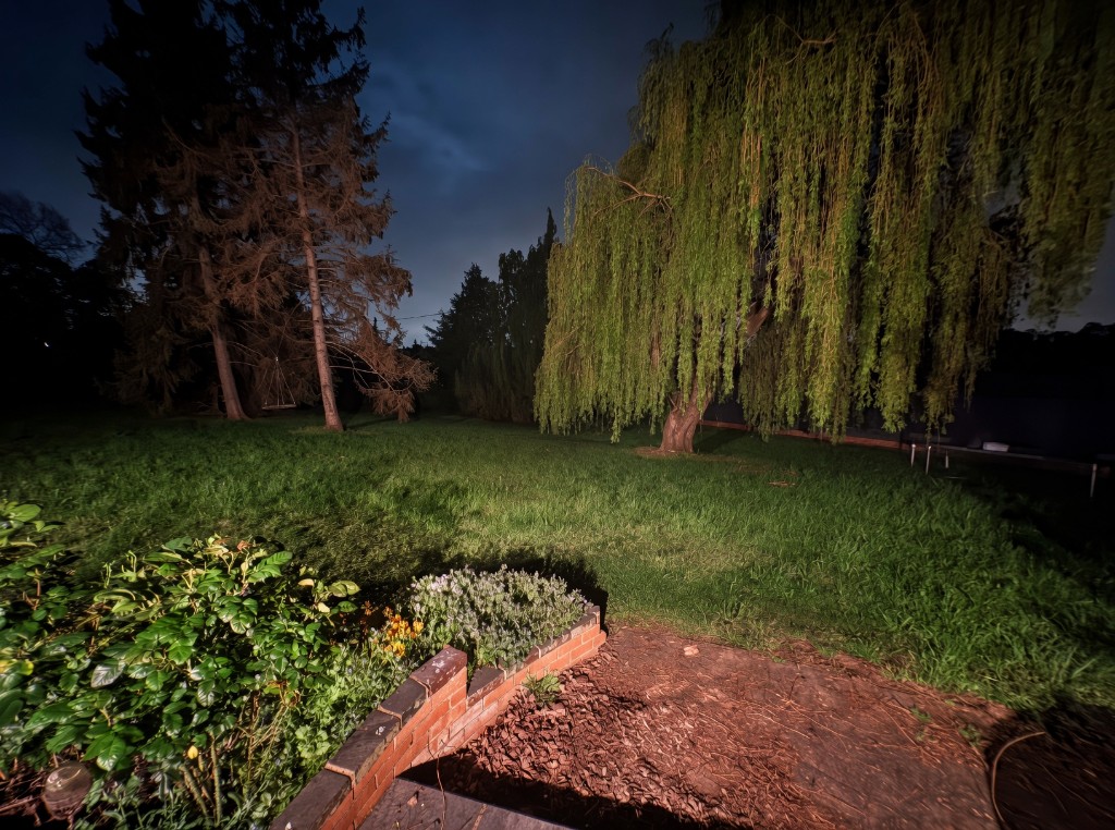 Lawns and trees at Harry’s after dark